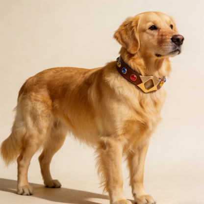 Luxury Gemstone Pet Collar | Gold Star Leather Dog Collar for Stylish Pups