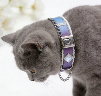 The "Aurora Chain" | Ombre Leather Collar with Crystal Accent & Customizable Buckle
