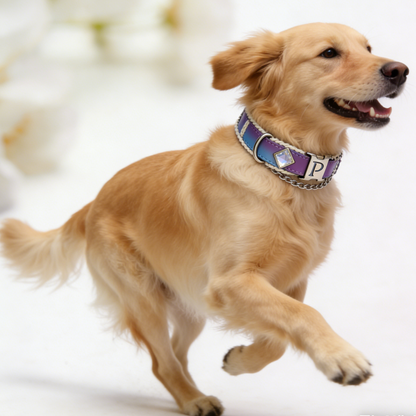 The "Aurora Chain" | Ombre Leather Collar with Crystal Accent & Customizable Buckle
