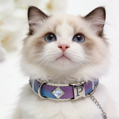 The "Aurora Chain" | Ombre Leather Collar with Crystal Accent & Customizable Buckle